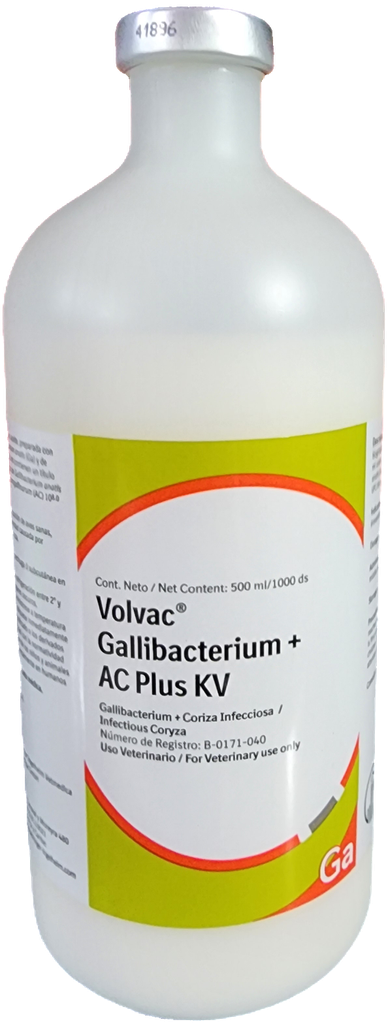 VOLVAC GALLIBACTERIUM + AC PLUS * 1,000 DS